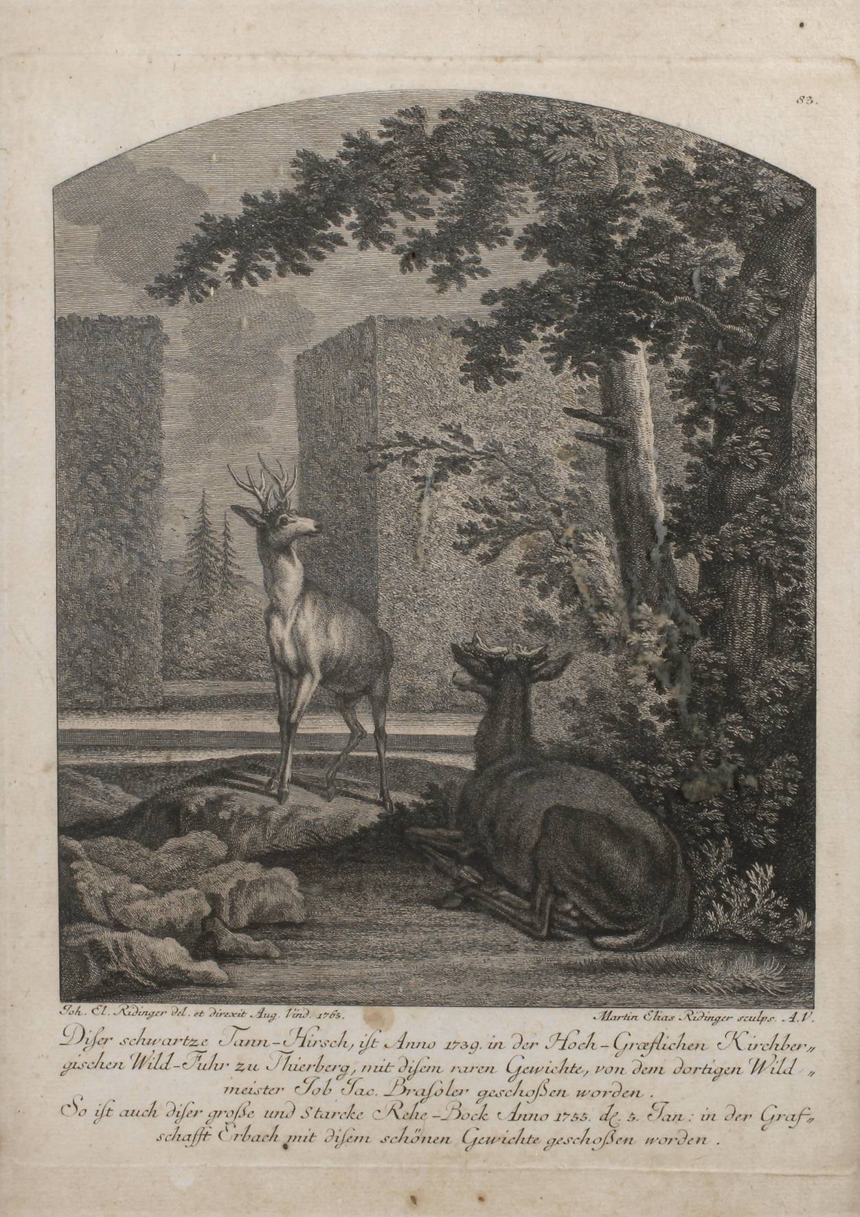 Martin Elias Ridinger, Hirsche im Boskett