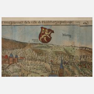 Prof. Sebastian Münster, Ansicht Heidelberg