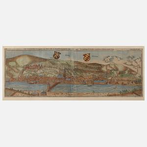 Prof. Sebastian Münster, Ansicht Heidelberg