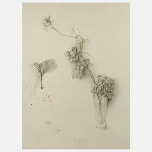 Bruno Bruni, Stillleben mit Geranien und Käfer