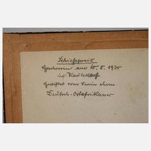 Wilhelm Kuhnert, Löwen