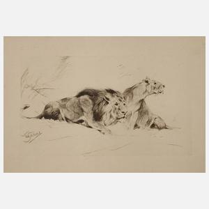 Wilhelm Kuhnert, Löwen