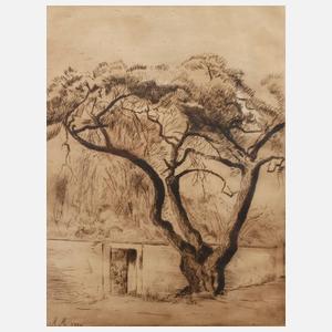 Maria Mendelssohn, Schepp-Allee in Darmstadt