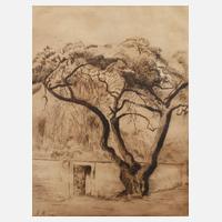 Maria Mendelssohn, Schepp-Allee in Darmstadt111