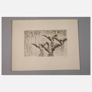 Emil Pottner, zwei Radierungen Enten im Teich
