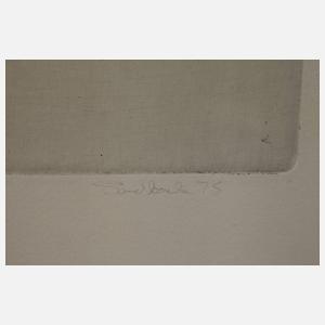 Fred Sandback, waagerechte Linien