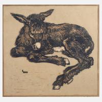 Prof. Engelbert Schoner, ”Junger Esel”111