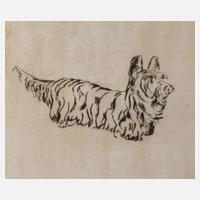 Prof. Renée Sintenis, Skye Terrier111