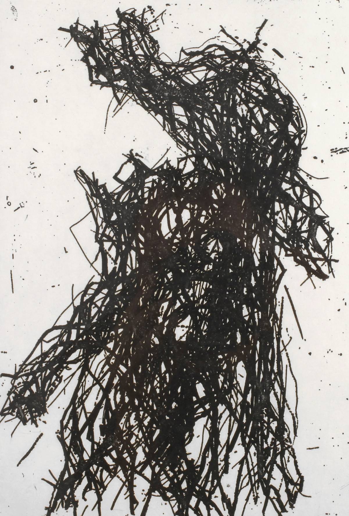 Prof. Max Uhlig, ”Le Vigne 1”