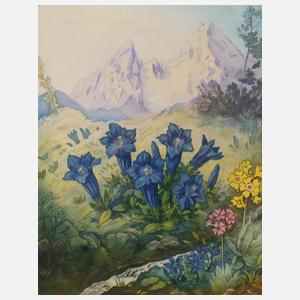 Josef Windisch, ”Bergfrühling”