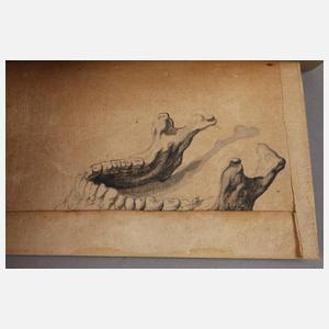 Junger rauchender Mann