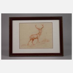 Guido Hammer, attr., Hirsch