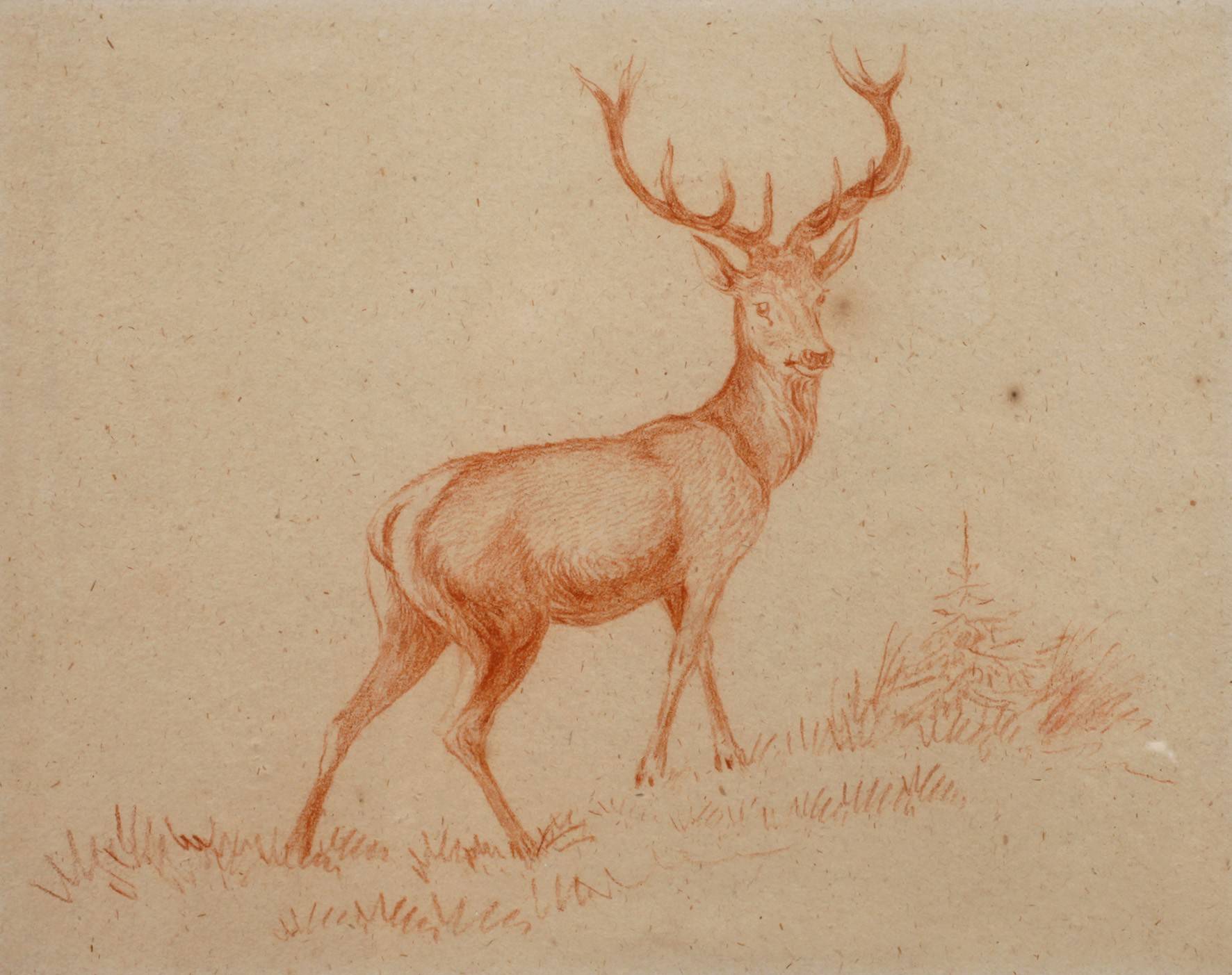 Guido Hammer, attr., Hirsch