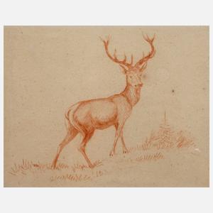 Guido Hammer, attr., Hirsch