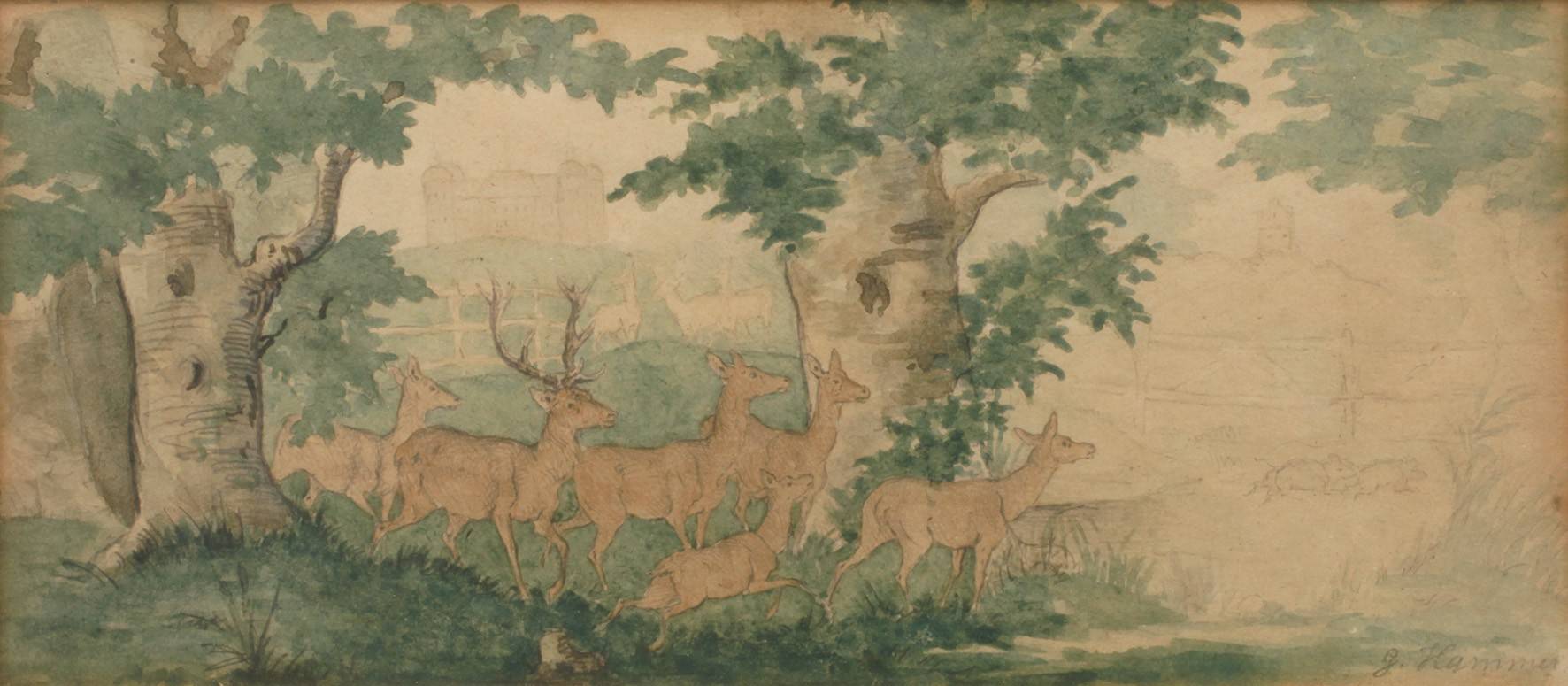 Guido Hammer, Wildgehege