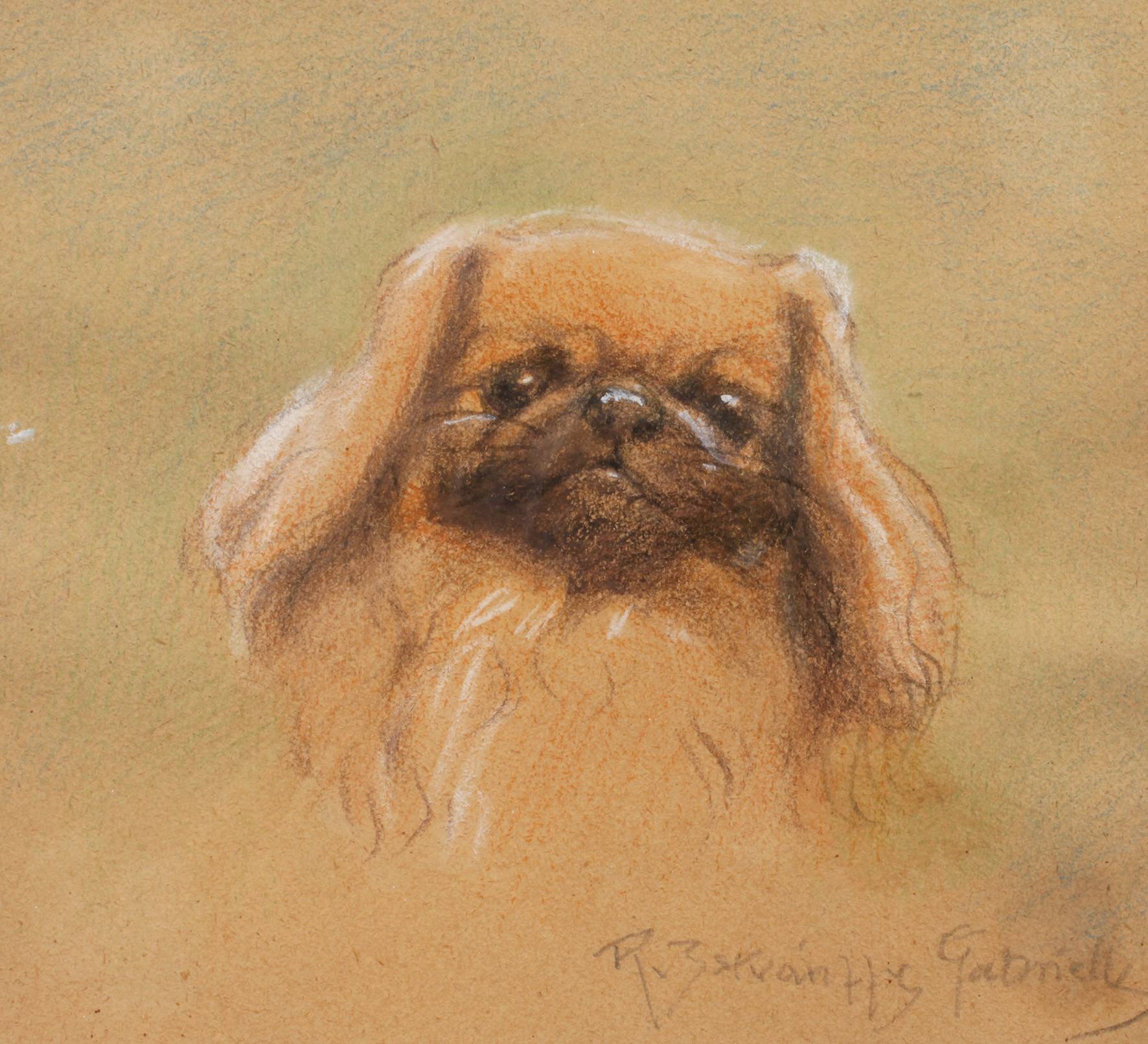 Gabriella Rainer-Istvanffy, Pekinesenportrait