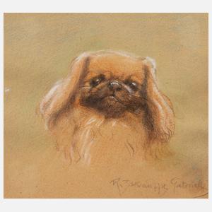 Gabriella Rainer-Istvanffy, Pekinesenportrait