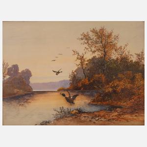 ”Einfallende Enten”