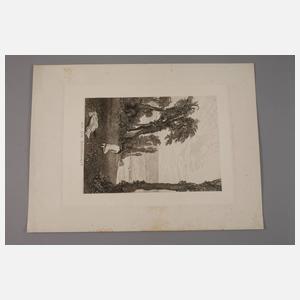 nach Prof. Max Klinger, ”An die Schönheit”