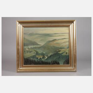 Rudolf Fleischer, Erzgebirgslandschaft