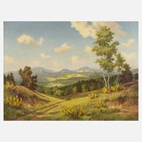 Kurt Görner, Mittelgebirgslandschaft111