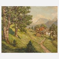 Helmut Janka, Gebirgslandschaft111