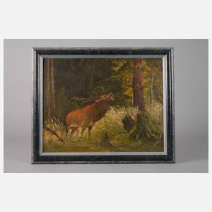 Gerhard Köhler, röhrender Hirsch