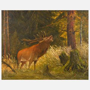 Gerhard Köhler, röhrender Hirsch