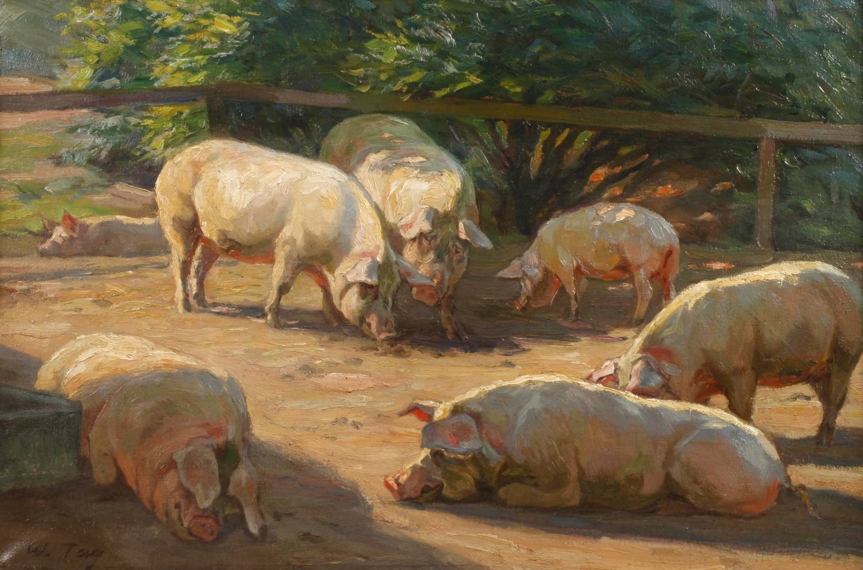 Willy Tag, Schweine im Schatten