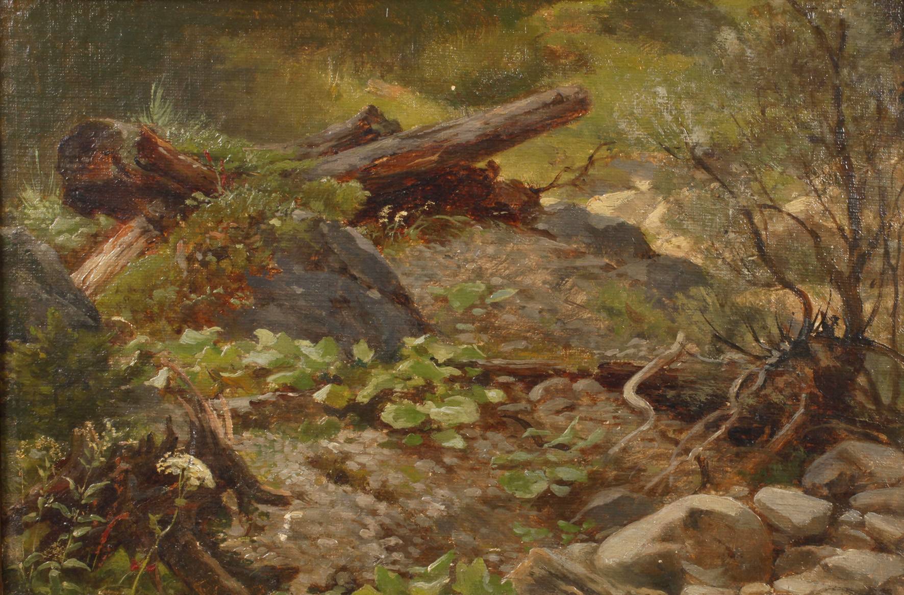 Carl Bolze, attr., Waldinneres