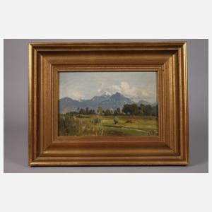 Carl Bolze, Partie im Voralpenland