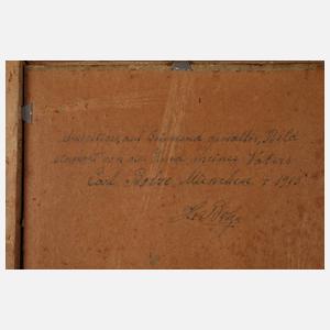 Carl Bolze, Partie im Voralpenland