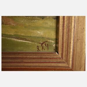 Carl Bolze, Partie im Voralpenland