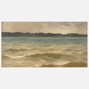 Carl Bolze, Sturm auf dem See