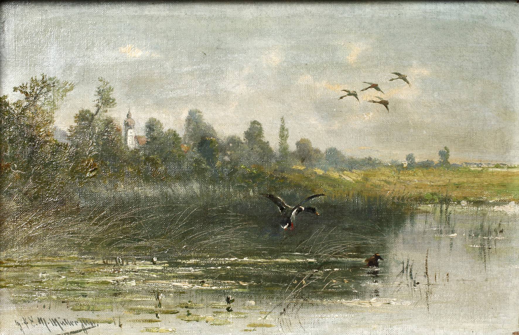 Moritz Müller junior, Auffliegende Enten