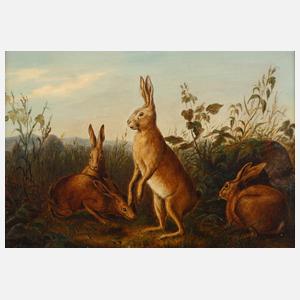 Vier Hasen in Sommerlandschaft