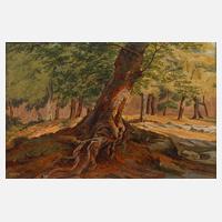 Eichen bei Ariccia111