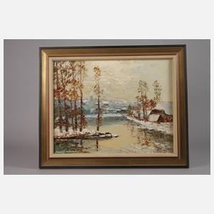 Prof. Georg Arnold-Graboné, Winter am Deininger Weiher