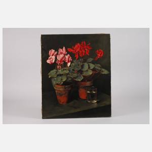 Franz Aumer, Stillleben mit Alpenveilchen