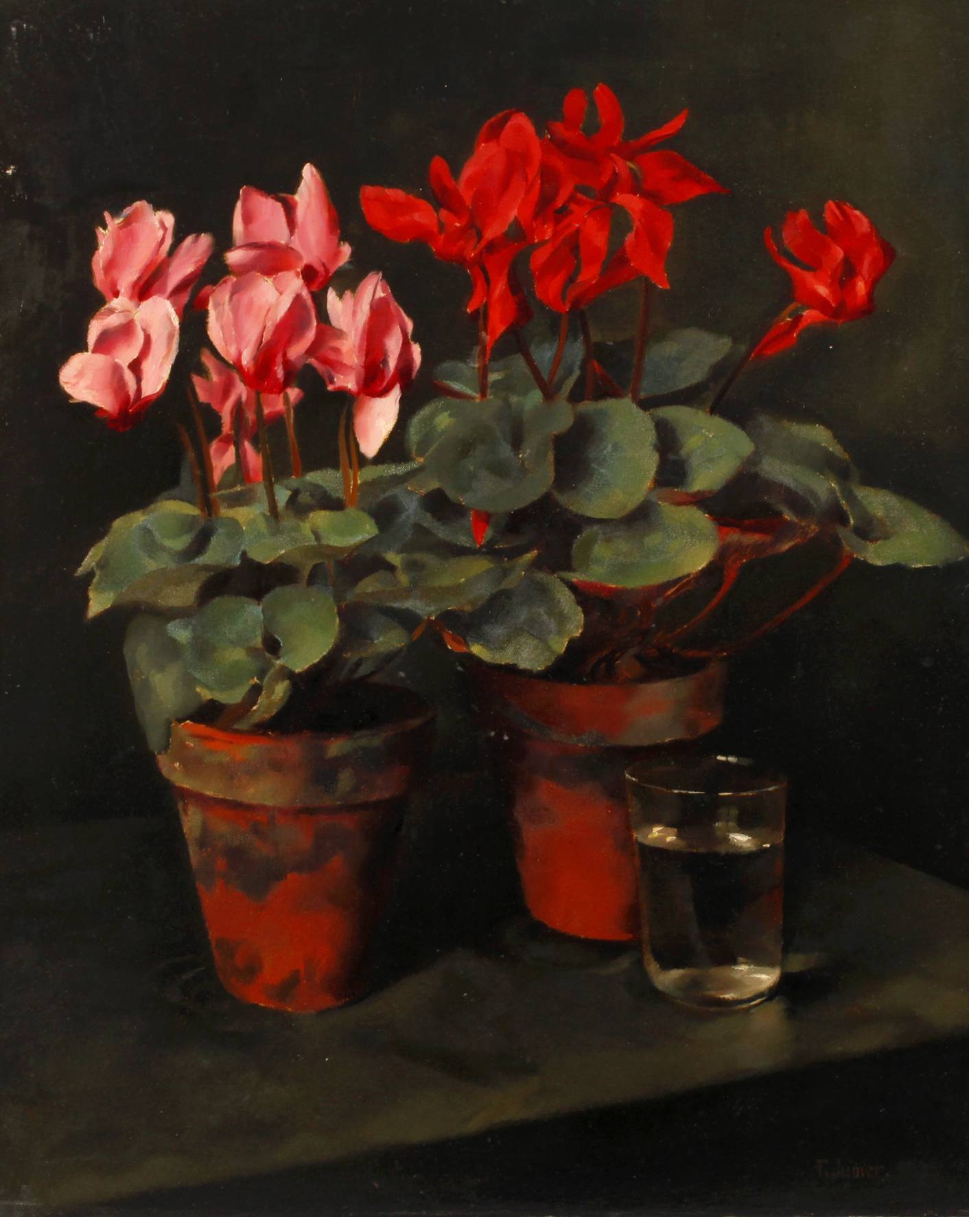 Franz Aumer, Stillleben mit Alpenveilchen