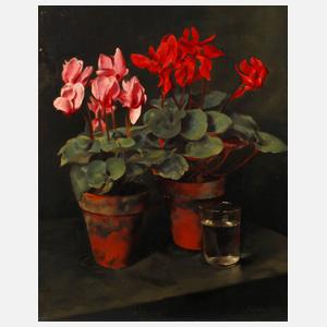 Franz Aumer, Stillleben mit Alpenveilchen