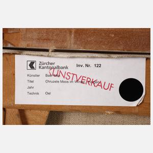 Max Baer, ”Chruzele Moos im Winter”