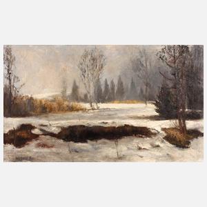 Max Baer, ”Chruzele Moos im Winter”