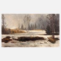 Max Baer, ”Chruzele Moos im Winter”111