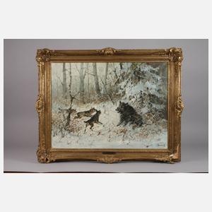 Prof. Hans Bauer, Wildschweinhatz