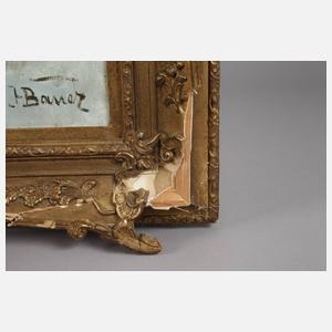 Prof. Hans Bauer, Wildschweinhatz