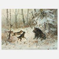 Prof. Hans Bauer, Wildschweinhatz111