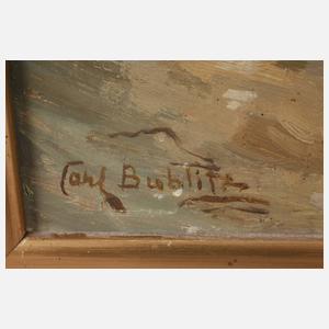 Carl Bublitz, Küstenlandschaft