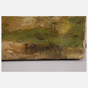 Prof. Franz Bunke, Sommer in Mecklenburg