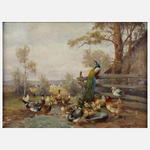 Max Hänger, Geflügelstillleben